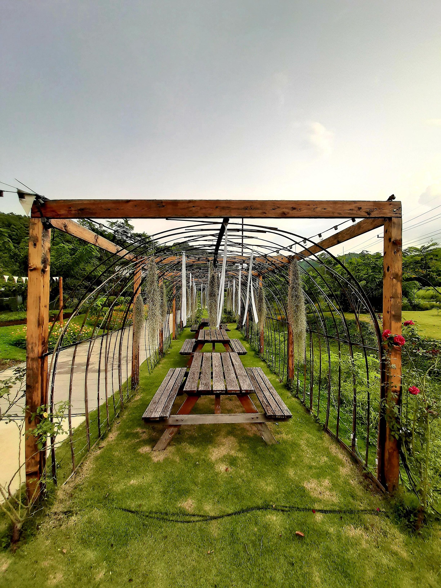 ShutterPoint Camera Store